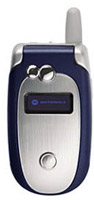 Motorola V555